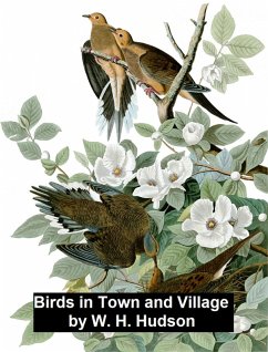 Birds in Town and Village (eBook, ePUB) - Hudson, W. H.