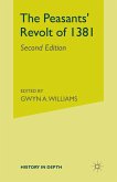 The Peasants' Revolt of 1381 (eBook, PDF)