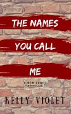 The Names You Call Me (eBook, ePUB)