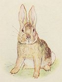 The Story of a Fierce Bad Rabbit (eBook, ePUB)