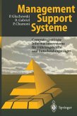 Management Support Systeme (eBook, PDF)