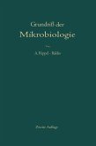 Grundriß der Mikrobiologie (eBook, PDF)