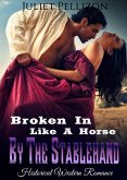 Broken In Like A Horse By The Stablehand (eBook, ePUB)