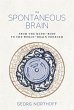 The Spontaneous Brain (eBook, ePUB) - Bild 1