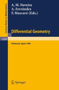 Cover Differential Geometry, Peniscola 1985 (eBook, PDF)