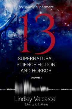 Cover 13 (eBook, ePUB)