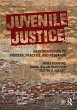 Juvenile Justice (eBook, PDF) - Bild 1