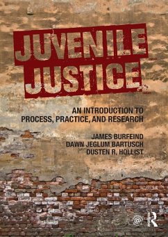 Cover Juvenile Justice (eBook, PDF)