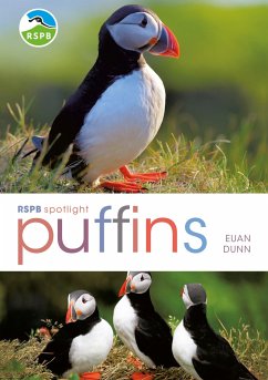 RSPB Spotlight: Puffins - Dunn, Euan