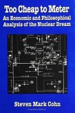 Too Cheap to Meter: An Economic and Philosophical Analysis of the Nuclear Dream