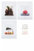 Little Glass Planet: Poems