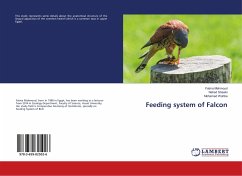 Feeding system of Falcon
