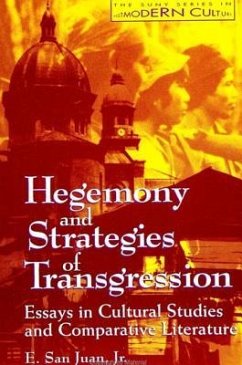 Hegemony and Strategies of Transgression: Essays in Cultural Studies and Comparative Literature - San Juan Jr, E.