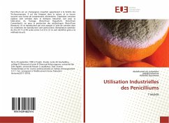 Utilisation Industrielles des Penicilliums - Ait ouhaddou, Abdelhamid;Idlamine, AHMED;Bousmene, HANANE