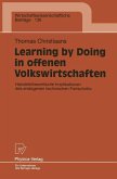 Learning by Doing in offenen Volkswirtschaften (eBook, PDF)