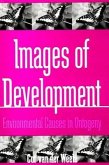 Images of Development: Environmental Causes in Ontogeny