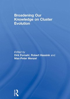 Broadening Our Knowledge on Cluster Evolution (eBook, PDF)