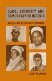 Class, Ethnicity and Democracy in Nigeria (eBook, PDF)