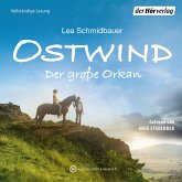 Der große Orkan / Ostwind Bd.6 (MP3-Download)