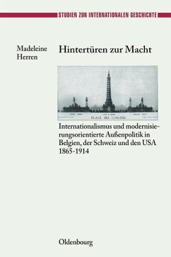 Hintertüren zur Macht (eBook, PDF) - Herren, Madeleine
