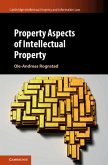 Property Aspects of Intellectual Property (eBook, ePUB)