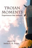 Trojan Moments: Experiences that Ambush (eBook, ePUB)