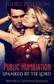 Public Humiliation (eBook, ePUB) Public Humiliation (eBook, ePUB)