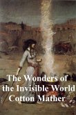 The Wonders of the Invisible World (eBook, ePUB)