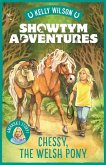 Showtym Adventures 4: Chessy, the Welsh Pony (eBook, ePUB)