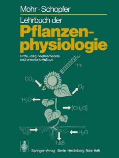 Lehrbuch der Pflanzenphysiologie (eBook, PDF) - Mohr, Hans; Schopfer, Peter