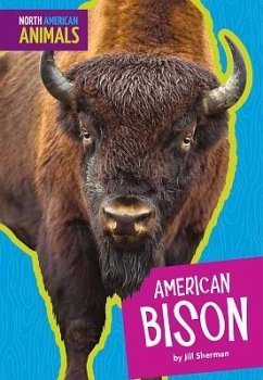 American Bison - Sherman, Jill