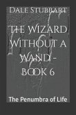 The Wizard Without a Wand - Book 6