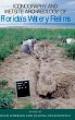 Iconography and Wetsite Archaeology of... - Bild 1