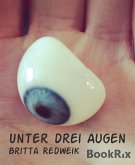 Unter drei Augen (eBook, ePUB)