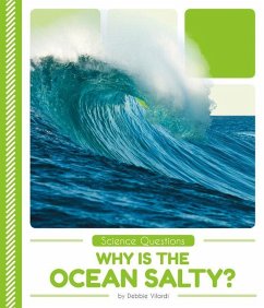 Why Is the Ocean Salty? - Vilardi, Debbie