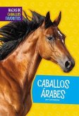 Caballos Árabes