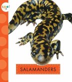 Salamanders