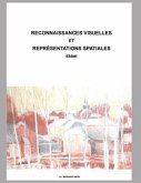 Reconnaissances visuelles et représentations spatiales: Essai