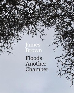 Floods Another Chamber - Brown, James
