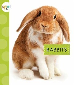 Rabbits - Schuh, Mari C
