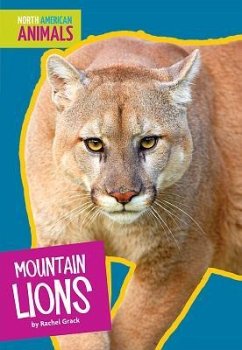 Mountain Lions - Grack, Rachel