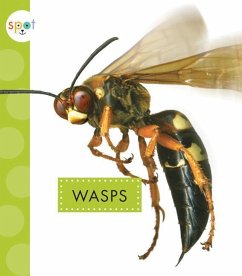 Wasps - Black, Nessa