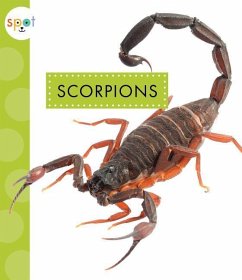 Scorpions - Black, Nessa