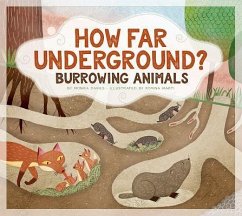How Far Underground?: Burrowing Animals - Davies, Monika