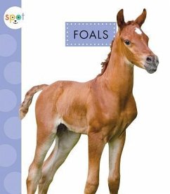 Foals - Suen, Anastasia