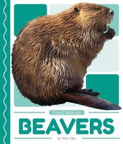 Beavers - Lilley, Matt