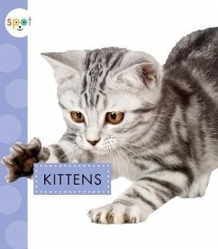 Kittens - Suen, Anastasia