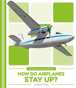 How Do Airplanes Stay Up? - Vilardi, Debbie