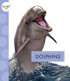 Dolphins - Schuh, Mari C