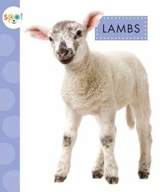 Lambs - Suen, Anastasia